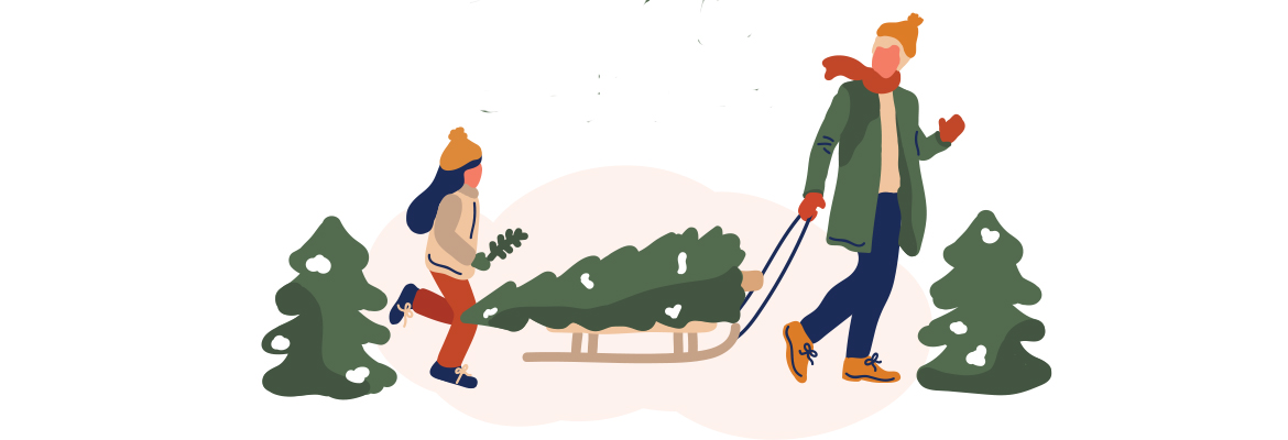 2020 12 30 depose sapin