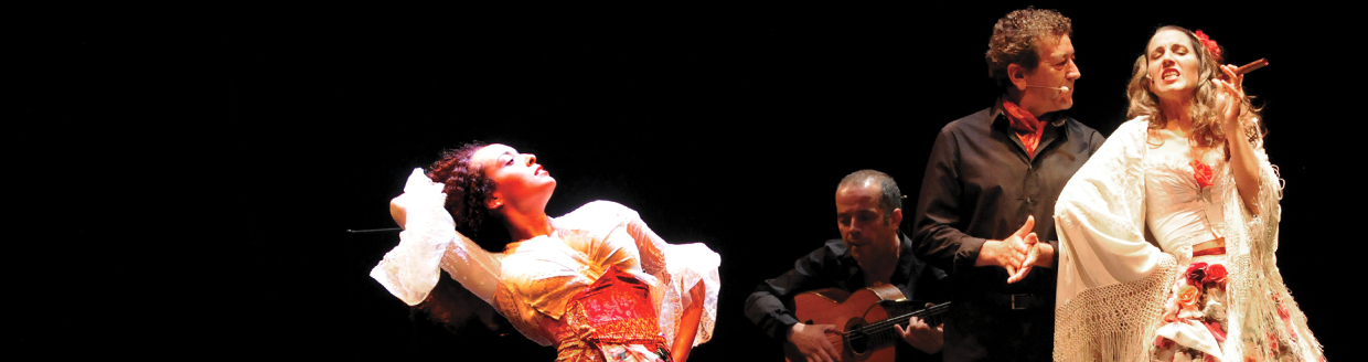 Carmen Flamenco