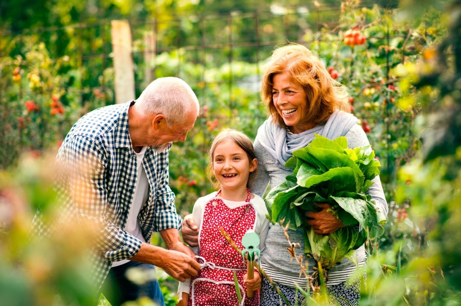 2025-10-25_Atelier-jardinage-au-naturel_SITE-V